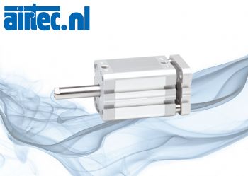 PDMPA - DOUBLE ACTING MAGNETIC ANTI-ROTATION WITH DOUBLE ROD