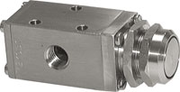 T 05 311 P ESG